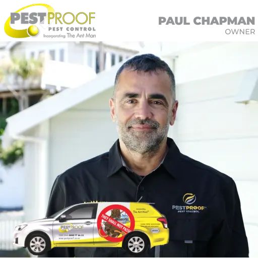 Wellington-based Pestproof Pest Control Services - Wasps, Rodents, Bees, Ants